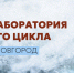 Правообладатель изображения: оргкомитет Кинолаборатории. - Культура Петербурга