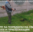 Следите за порядком на своих участках и прилегающих территориях. - Администрация