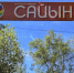 «Сайын»: лето, в котором каждый ребенок находит свой мир - Якутское-Cаха ИА