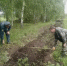 Бутурлинское межрайонное лесничество усиливает контроль за соблюдением лесного законодательства - Министерство лесного хозяйства