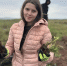 В Ширинском районе высадили 15 тысяч сосен в память о героях: завершилась Международная акция «Сад памяти» - ИА Хакасия