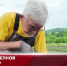 Видео - ТВН