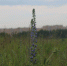 8be179a903d74fe8bbfbed1cb4f57fc6.jpeg - Газета По жизненному пути