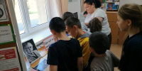В Сочи летом для более 80 тысяч школьников подготовлено свыше 2300 досуговых мероприятий - Sochi.Com