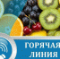 Горячая линия по вопросам качества овощей и фруктов - Ilim24.Ru