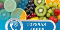 Горячая линия по вопросам качества овощей и фруктов - Ilim24.Ru
