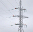 «Владимирэнерго» установит на ЛЭП более 1 250 птицезащитных устройств в 2026 году - Gus-info.Ru