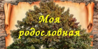 Юные верхнеуслонцы победили в конкурсе «Моя родословная» - Волжская новь