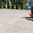 ДЕНЬ РУССКОГО ЯЗЫКА В ФУРМАНОВЕ - КПРФ