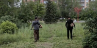 Оренбуржцы добились ремонта пешеходного светофора через Госуслуги - Yuzh-Ural.Ru