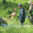 Мотоциклист из Ленобласти сегодня пострадал в ДТП в Сортавальском округе - StolicaOnego.Ru