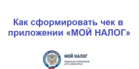 Приложение «Мой налог» поможет самозанятому сформировать и отправить чек - Салаватский район