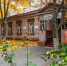 thumb_1920__2021273592.jpg - Chehov-Vid.Ru