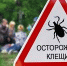 Волжанам напоминают о мерах профилактики укусов клещей - Администрация г. Волжский