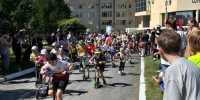 Воспитанники городских спортивных школ одержали победы на городских, областных и межрегиональных соревнованиях - Администрация г. Курган