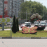 Три тысячи цветов распустятся у разворотного кольца в Брянске - БрянскНОВОСТИ.RU