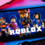 Минцифры получило от Roblox гарантии соблюдения российского законодательства - Pln-Pskov.Ru