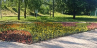 В Курске на Ермошином озере высадили более 16 тысяч цветов - Курская правда