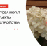 Жители Реутова могут выбрать объекты для благоустройства - ТВ-Реутов