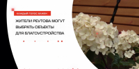 Жители Реутова могут выбрать объекты для благоустройства - ТВ-Реутов