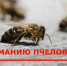 В Шуйском районе продолжаются работы по обработке полей - Шуйский район