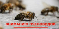 В Шуйском районе продолжаются работы по обработке полей - Шуйский район
