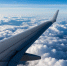 article23129.jpg - 59i.Ru