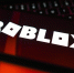 Минцифры и РКН попросили снять ограничения с Roblox - M24.Ru