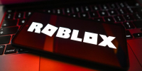 Минцифры и РКН попросили снять ограничения с Roblox - M24.Ru
