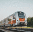 Фото: Peter Kniez/Shutterstock/Fotodom - Ямал-Медиа