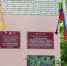 Роспотребнадзор в Пензе подвёл итоги горячей линии о правах туристов - Stolica58.Ru