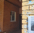 Перепутали котов или читать не научились? - Obninsk.Name