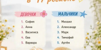 София и Михаил - самые популярные имена среди новорождённых в Ленобласти в 2026 году - SyasNews.Ru