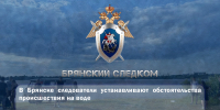 В Брянске следователи устанавливают обстоятельства происшествия на воде - Следственный комитет