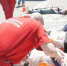 d7au4wz7bg70dlxltqhwo1g7d54jrhsx.jpg - Primorye24.Ru