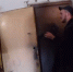 Из заваленной мусором квартиры во Владивостоке спасли 13 кошек - Otvprim.Ru