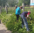 Временная занятость подростков при содействии Кадрового центра Кузбасса увеличилась на 19 % - Министерство труда и соцзащиты