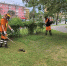 На улицы Красноярска выходят все больше косарей - Наш Красноярский край