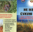 Памятка по соблюдению пожарной безопасности в летний пожароопасный период - Бодайбинское городское поселение
