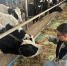 b2ob38zdo21i1zoozk4ebjnjxojr5wjx.jpeg - Primorye24.Ru