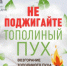 Тополиный пух – причина возникновения пожара - Администрация г. Черногорск