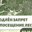 В Тюменской области продлён запрет на посещение лесов: меры по предотвращению пожаров - Сладковский район
