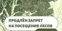 В Тюменской области продлён запрет на посещение лесов: меры по предотвращению пожаров - Сладковский район