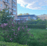 Прогноз погоды в Амурской области на 11 июня - Amur.Life