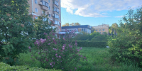 Прогноз погоды в Амурской области на 11 июня - Amur.Life
