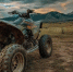 Нейросеть Midjourney - Cher-Poisk.Ru