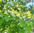 Первоисточник - Syktyvkar.1istochnik.Ru