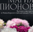 «Магия пионов». Расписание и программа мероприятий - Краеведческий музей