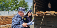 Курганские судебные приставы конфисковали у контрабандиста древесину и передали   военнослужащим на нужды СВО - УФССП