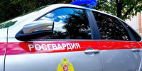 Пьяный водитель из Марий Эл проигнорировал полицию и решил скрыться - Марийская правда
